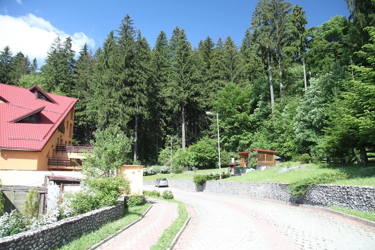 Pensiunea Mihaela Poiana Brasov Exterior foto